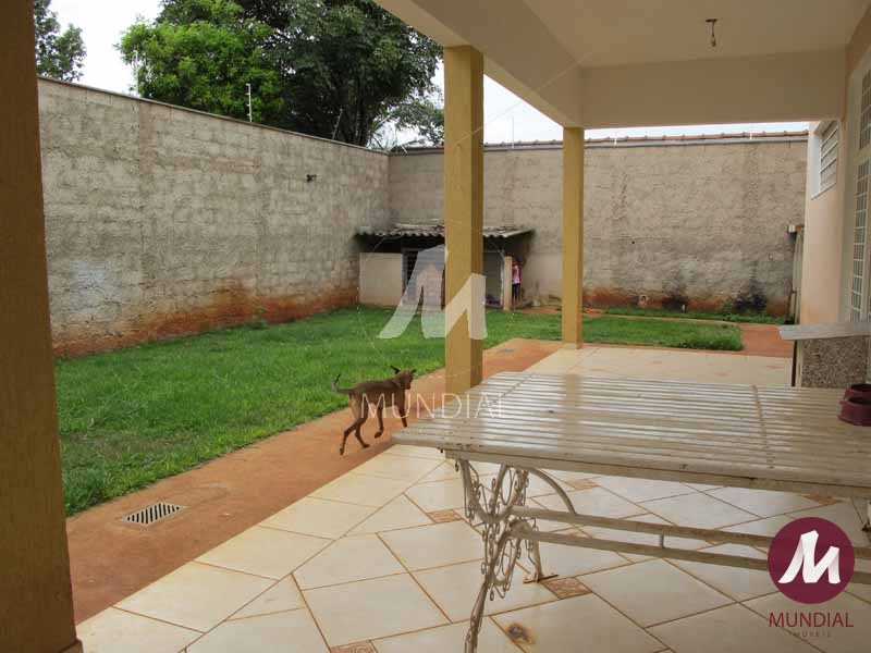 Quintal/corredores — foto 31