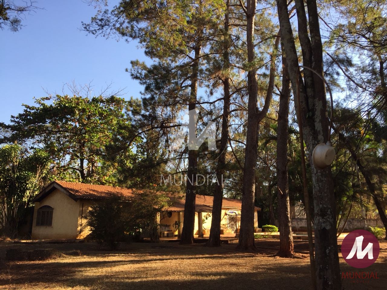 Fachada Unidade — foto 4