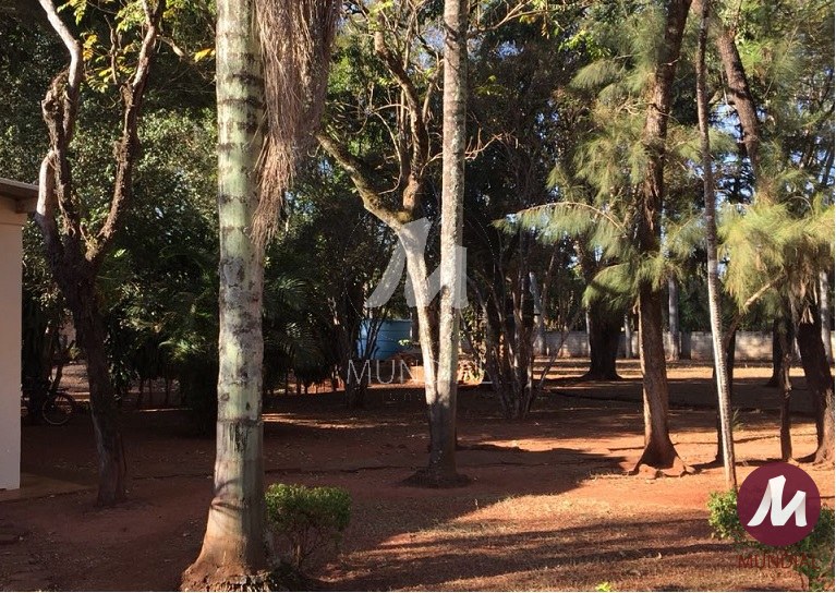 Outras — foto 17