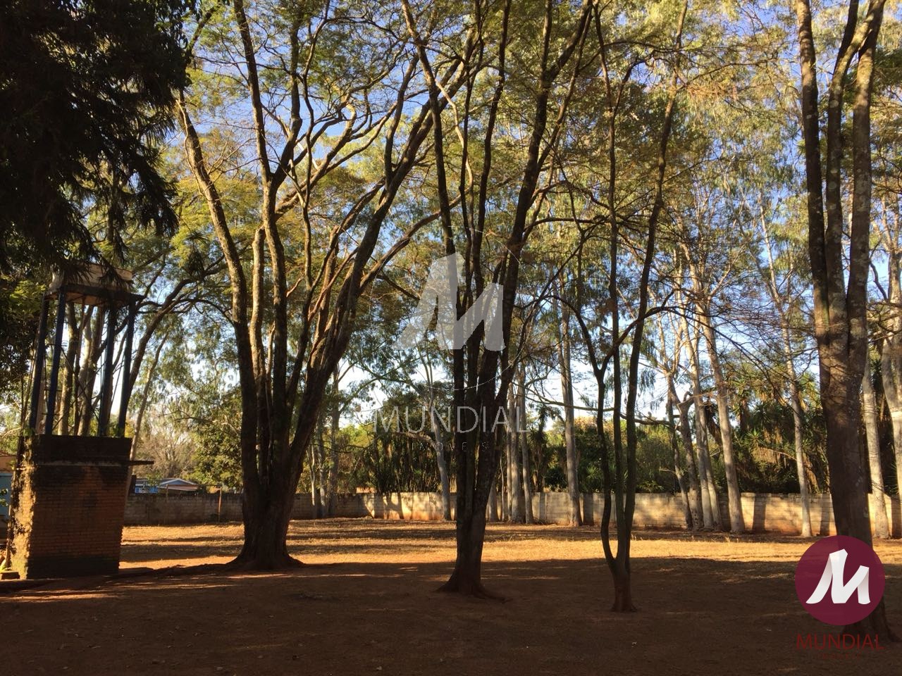Outras — foto 18