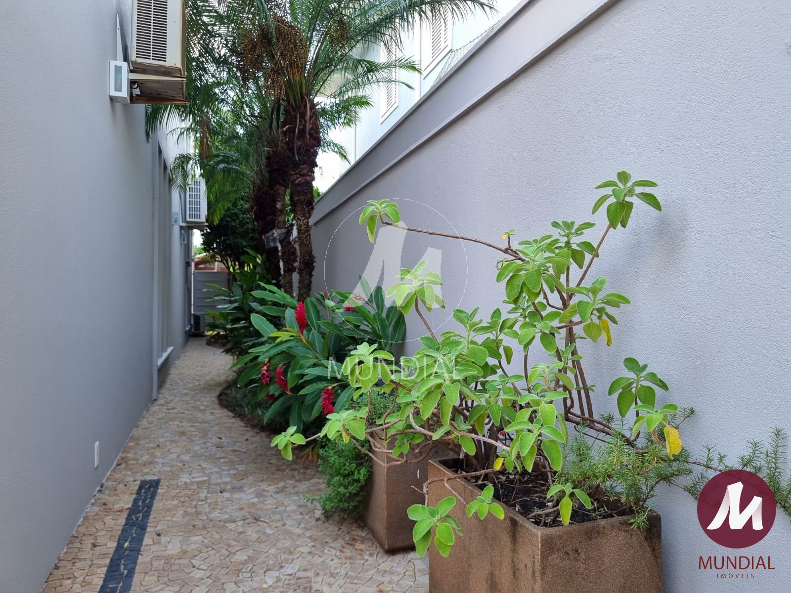 Quintal/corredores — foto 23