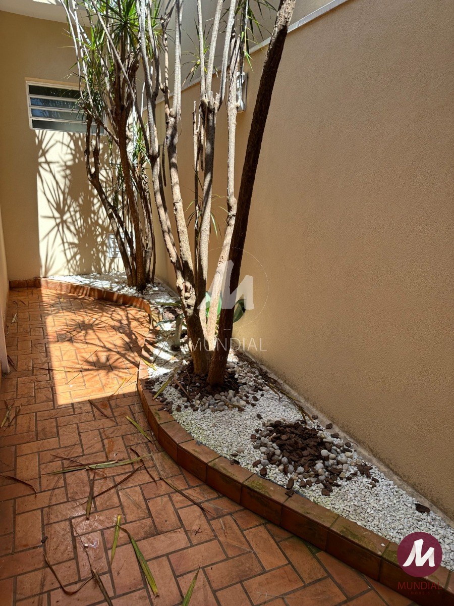 Jardim — foto 41