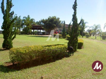 Outras — foto 13