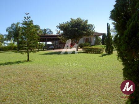 Outras — foto 15