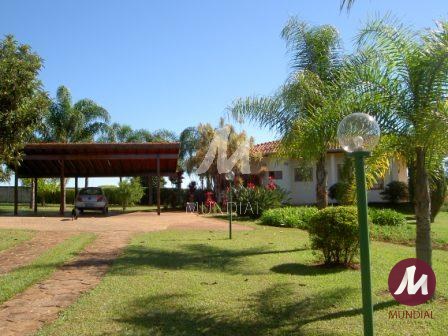 Outras — foto 17