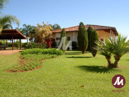 Outras — foto 21