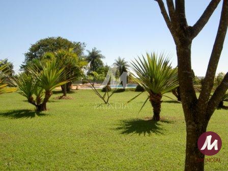 Outras — foto 23