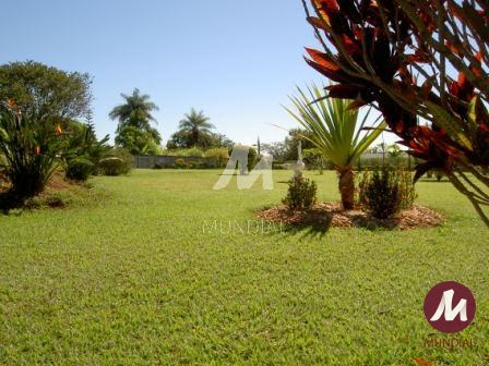 Outras — foto 29