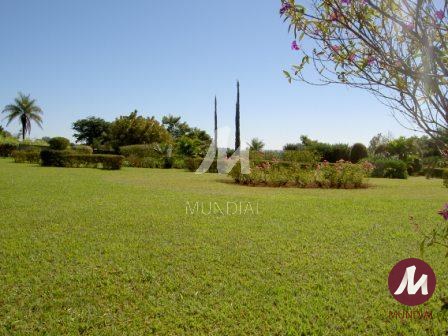 Outras — foto 32