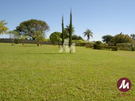 Outras — foto 33