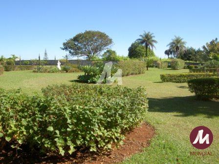 Outras — foto 39