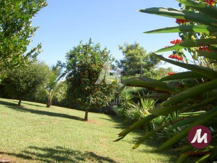 Outras — foto 50