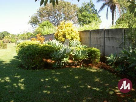 Outras — foto 53