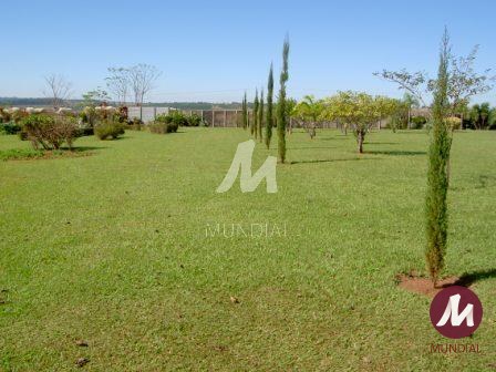 Outras — foto 58