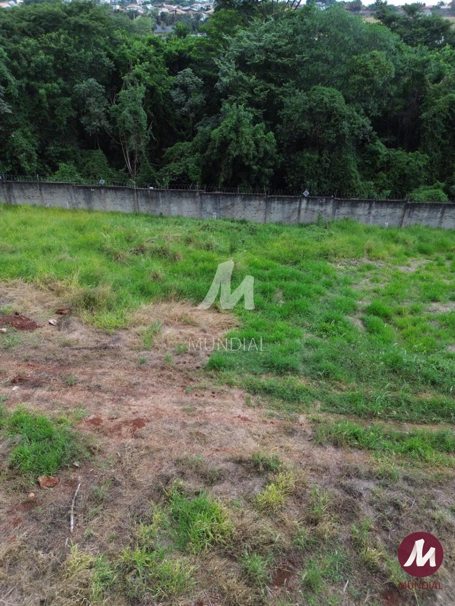 Terreno/Lote — foto 1