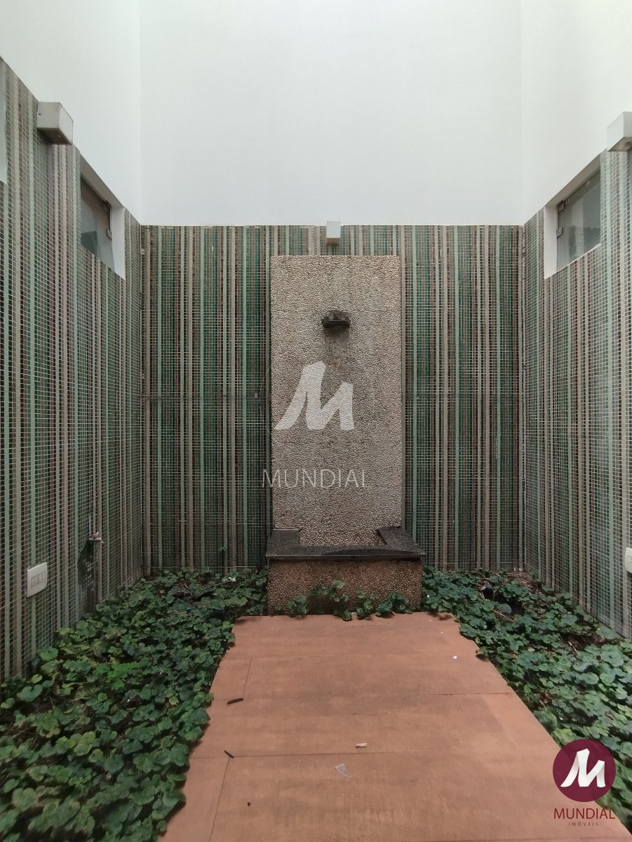 Jardim — foto 7