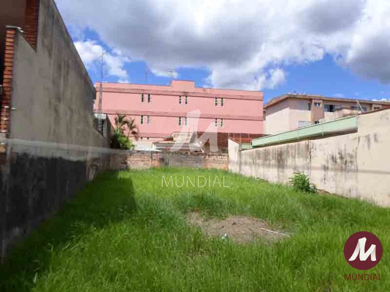 Quintal/corredores — foto 2
