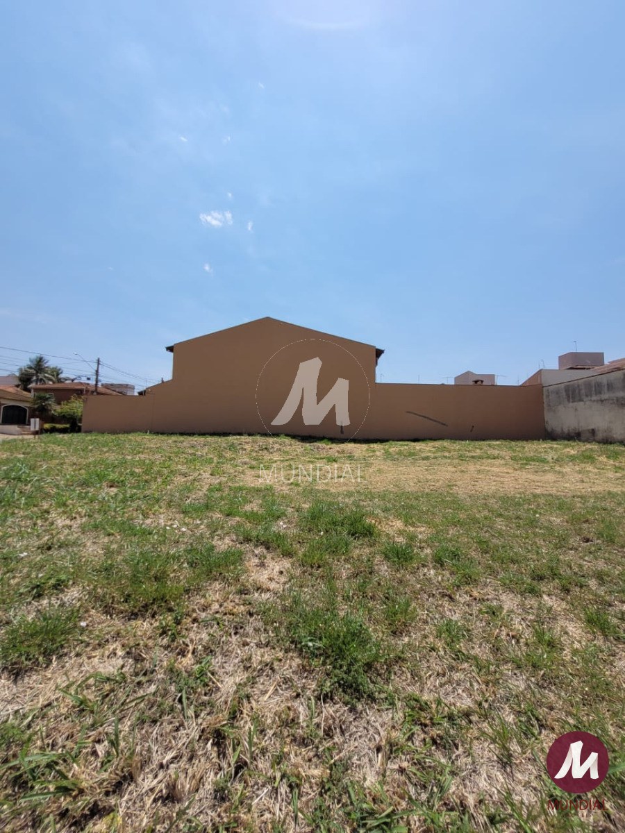 Terreno/Lote — foto 4