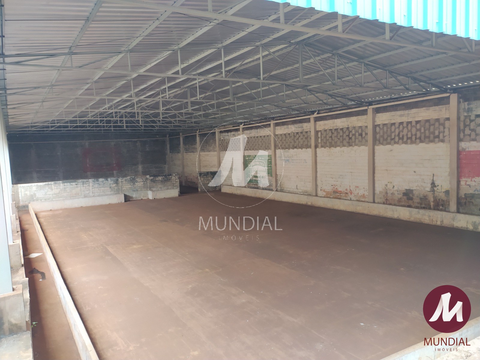 Salão — foto 14