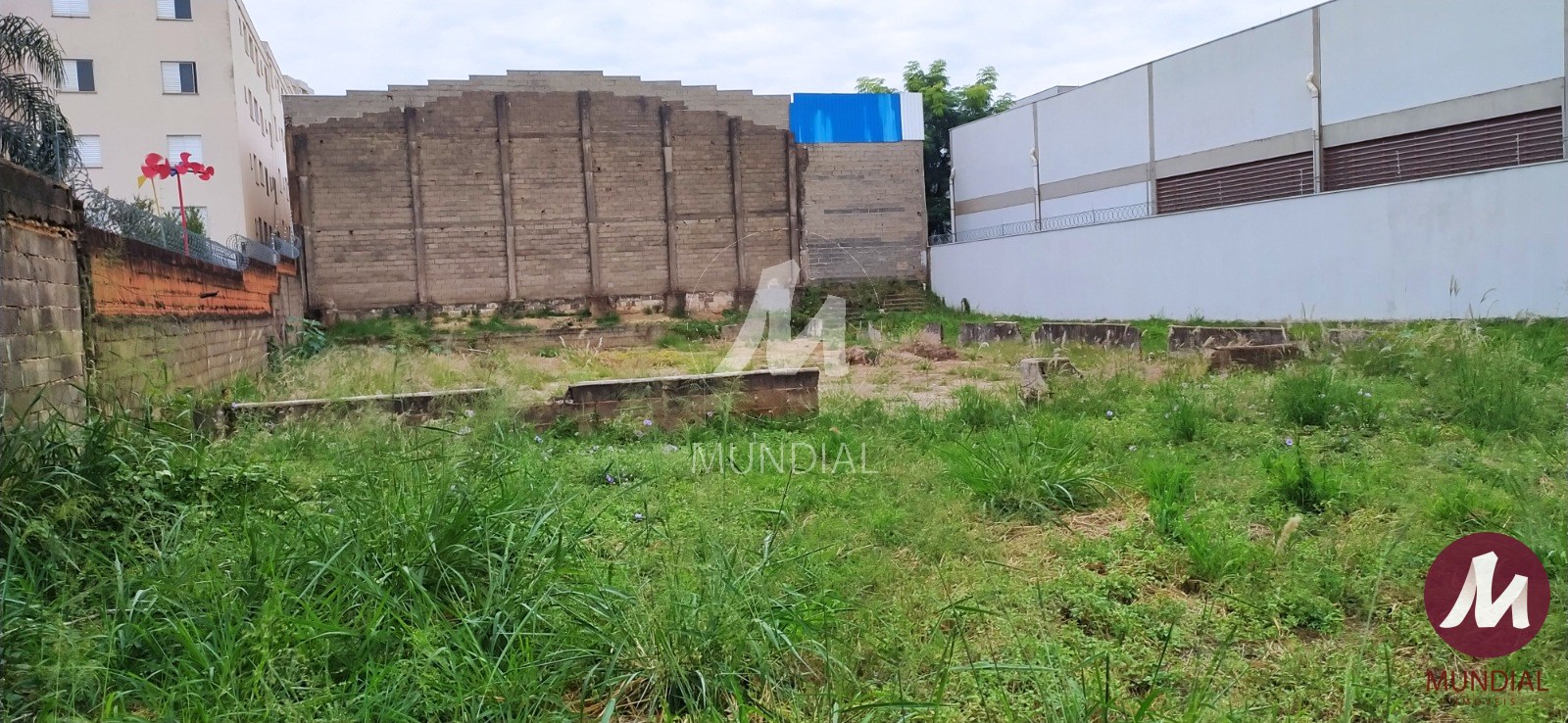 Terreno/Lote — foto 18