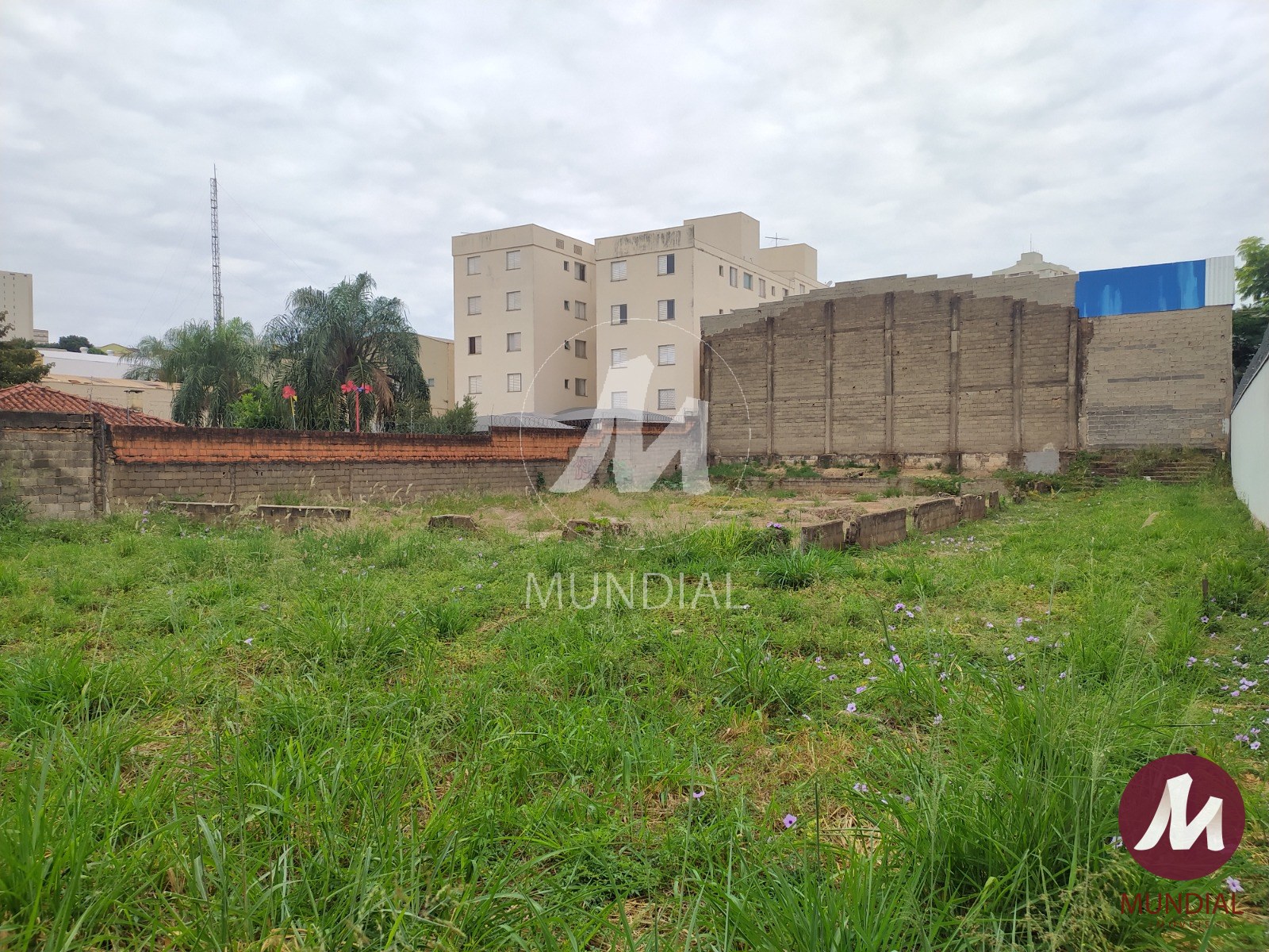 Terreno/Lote — foto 19