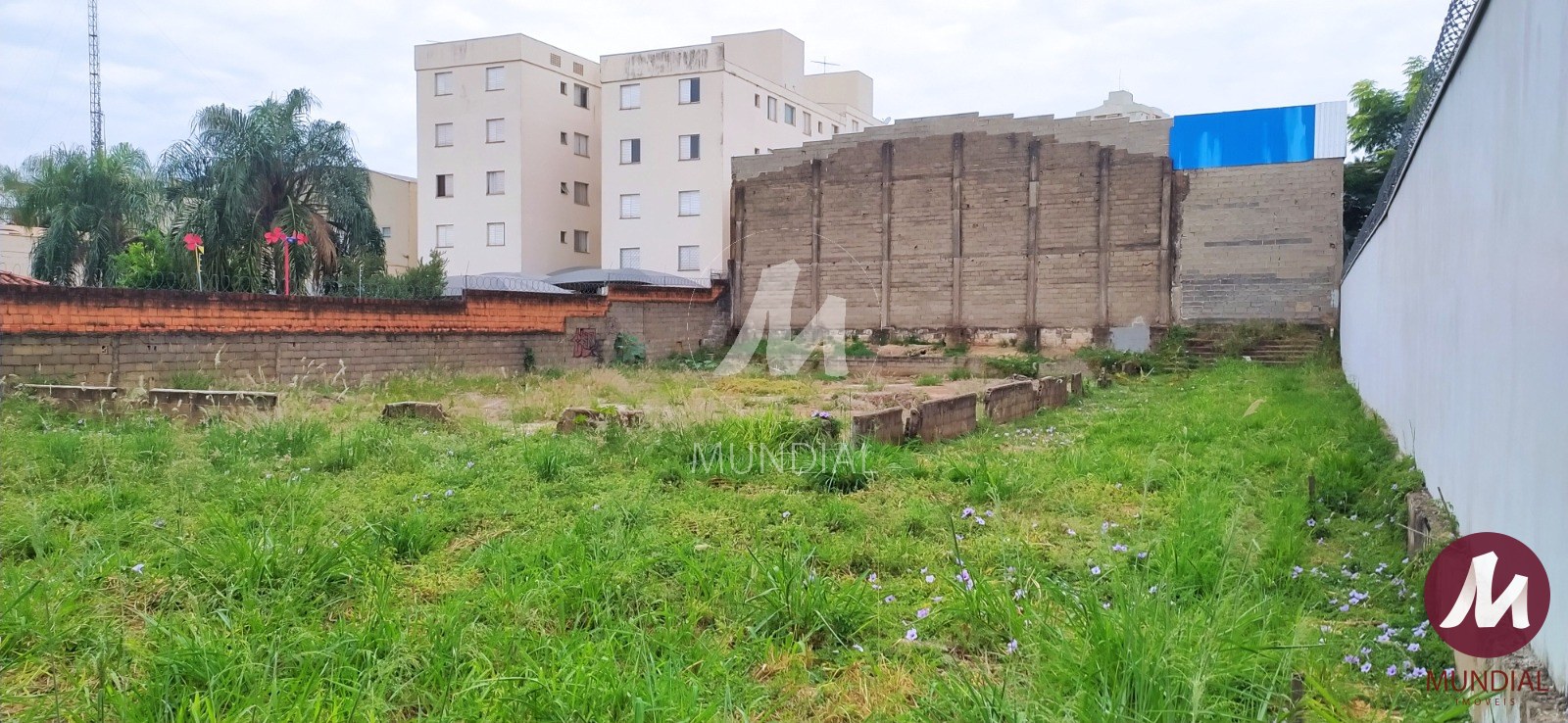 Terreno/Lote — foto 20