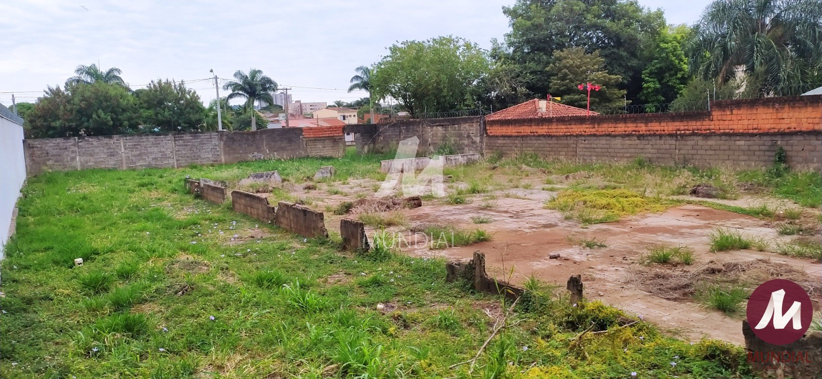 Terreno/Lote — foto 21