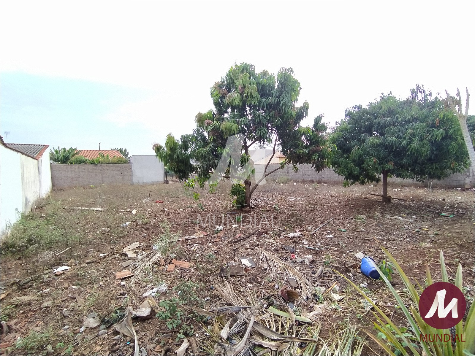 Terreno/Lote — foto 3