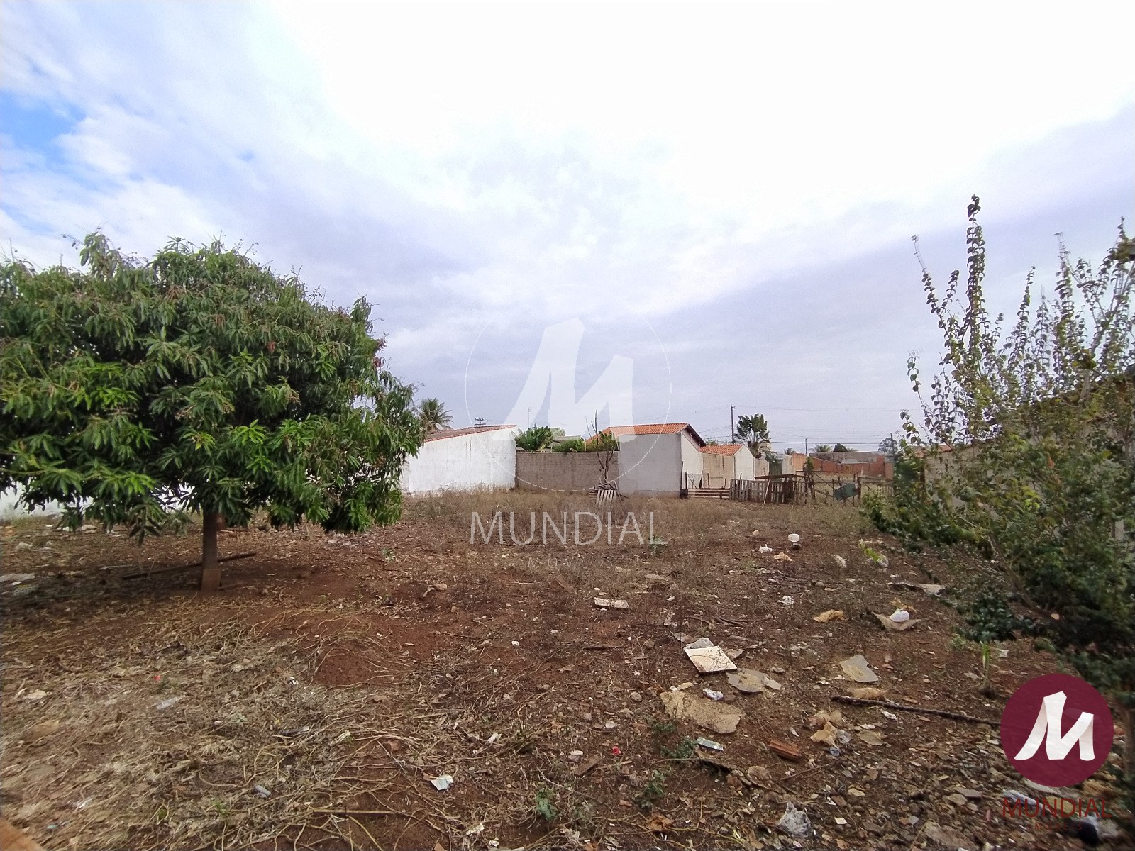 Terreno/Lote — foto 4