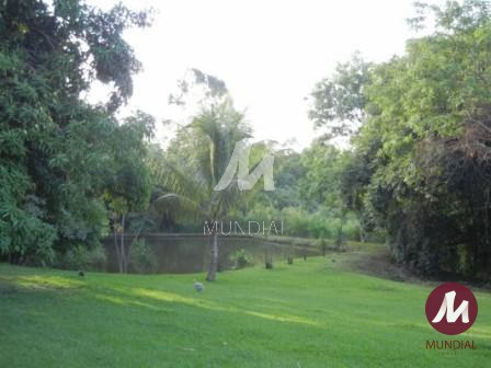 Outras — foto 19