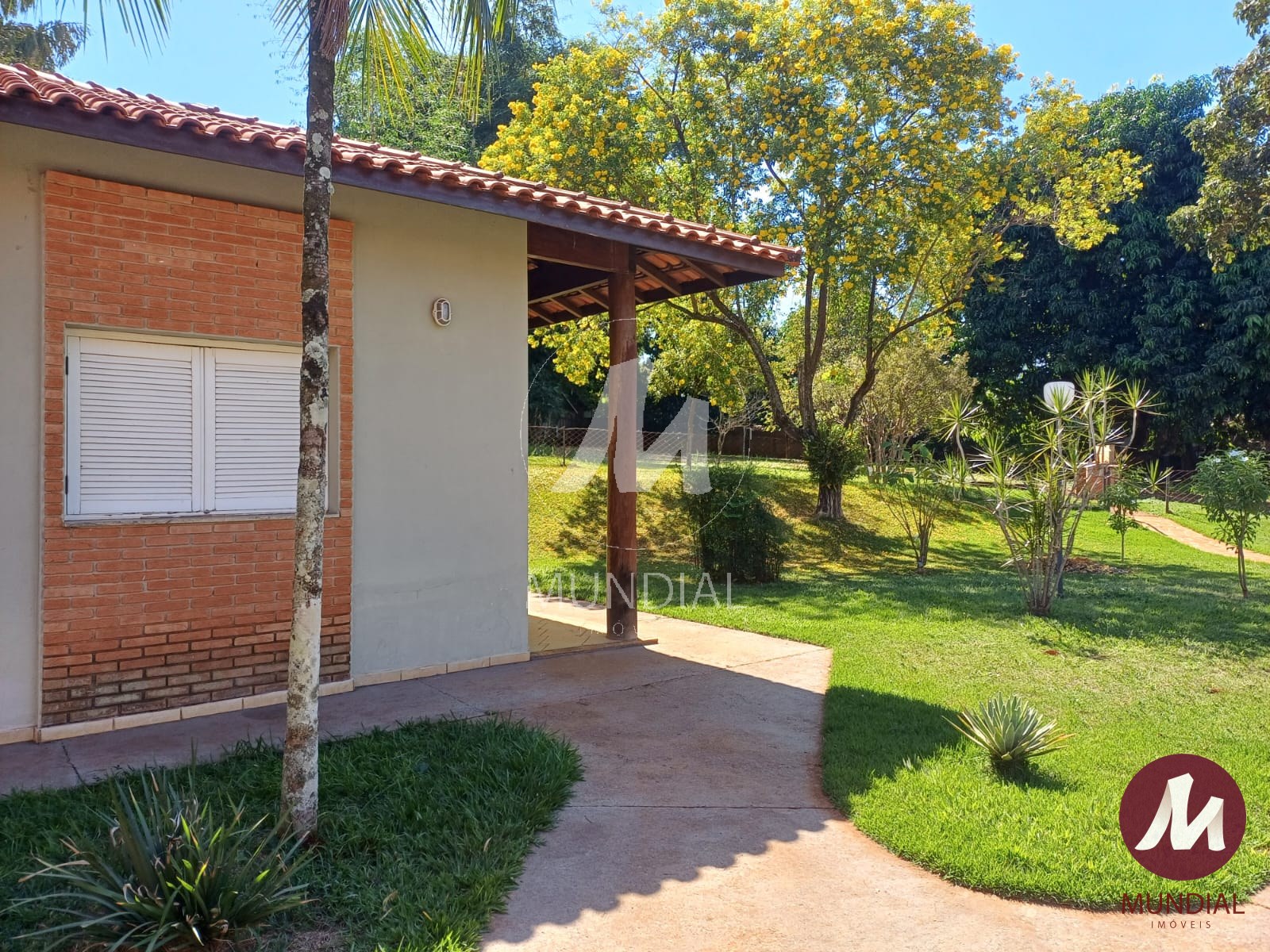 Quintal/corredores — foto 18