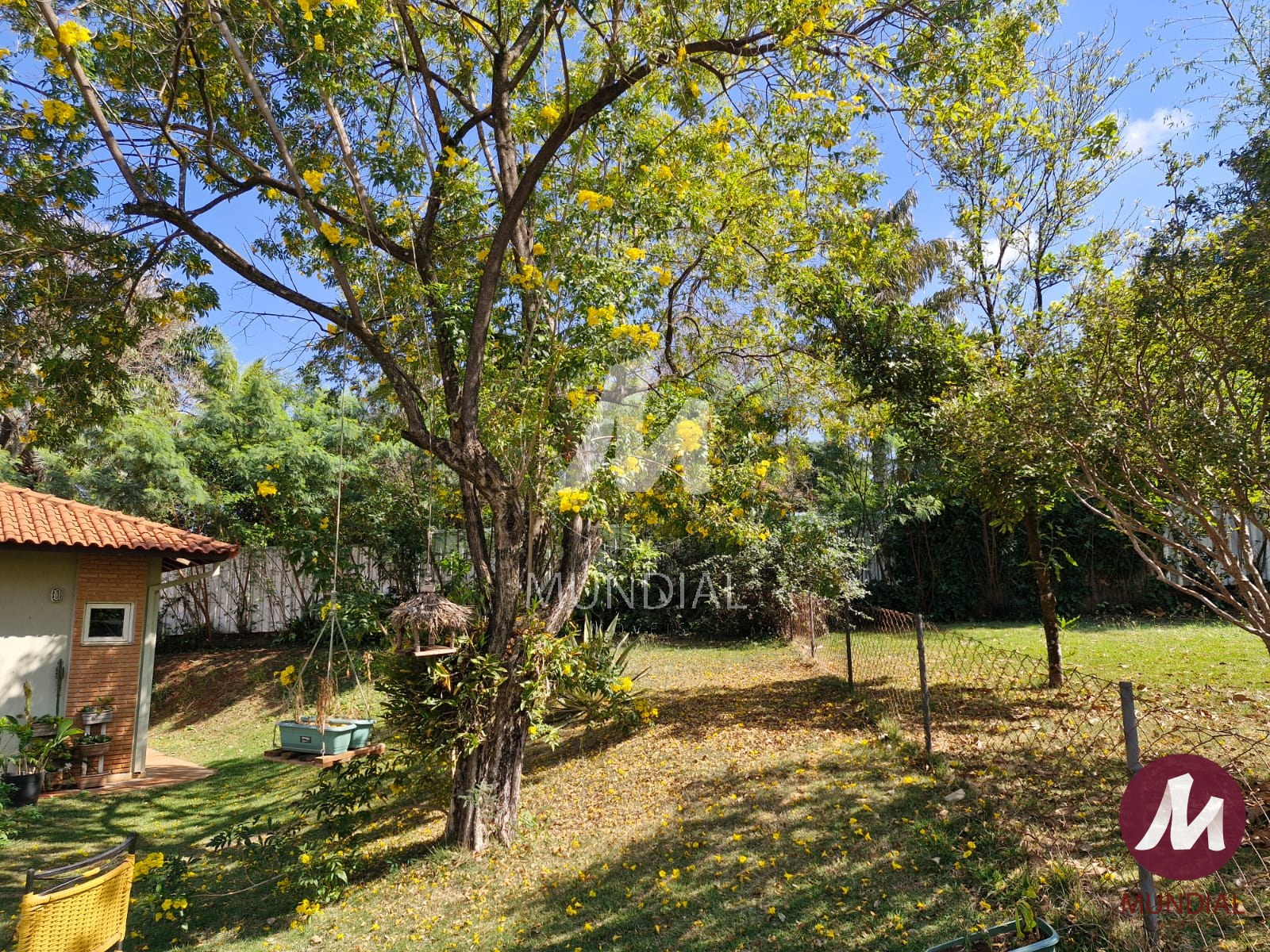 Quintal/corredores — foto 19