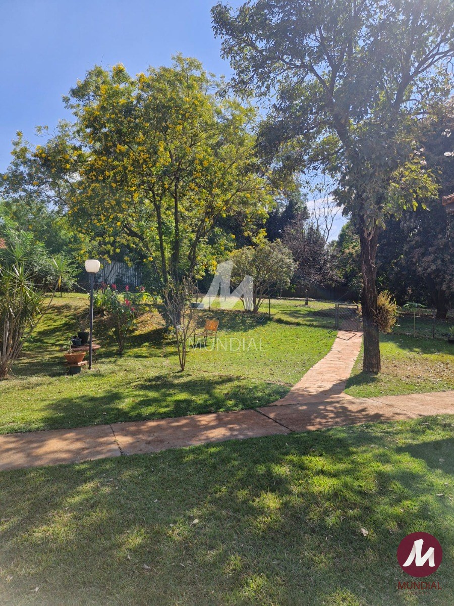 Quintal/corredores — foto 26