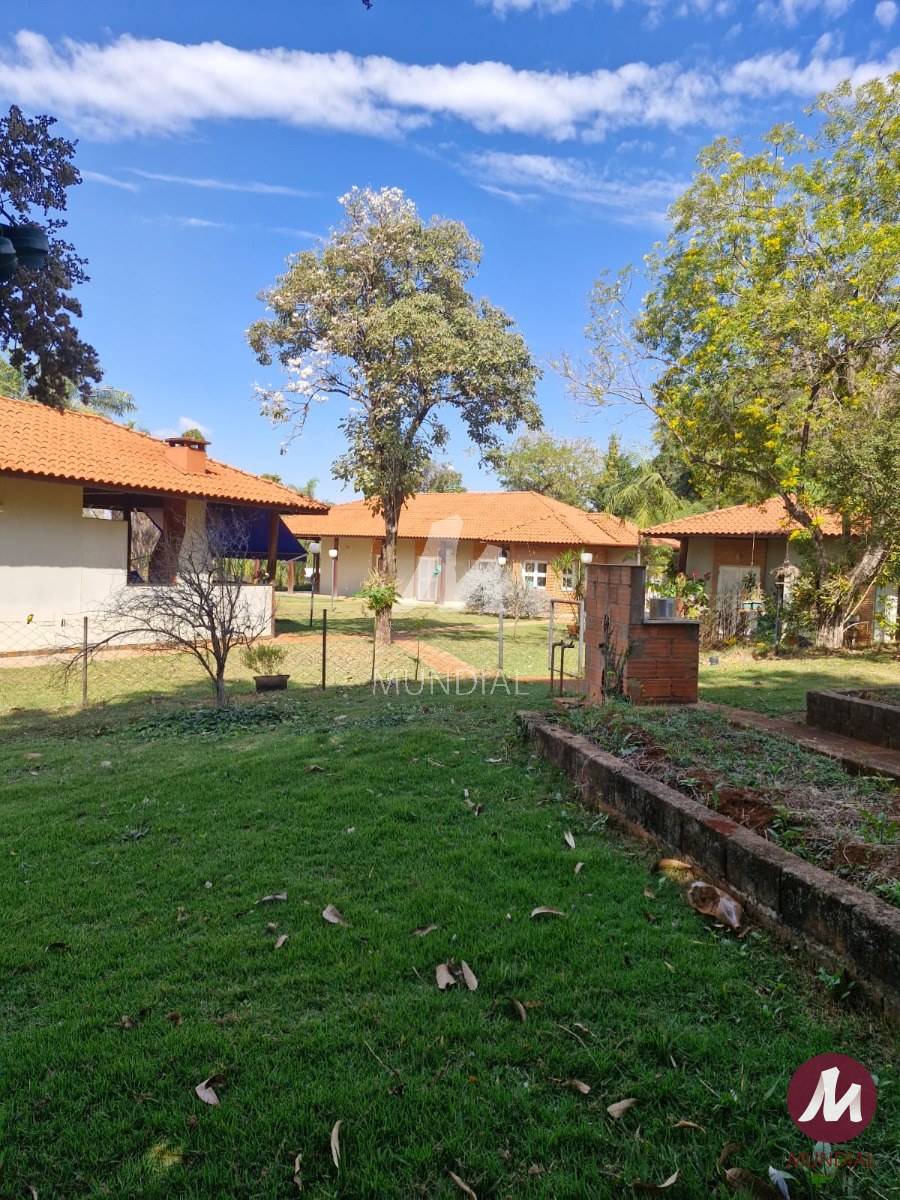 Quintal/corredores — foto 28