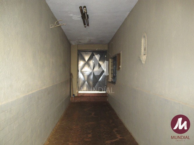 Outras — foto 14