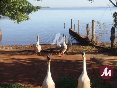 Outras — foto 10