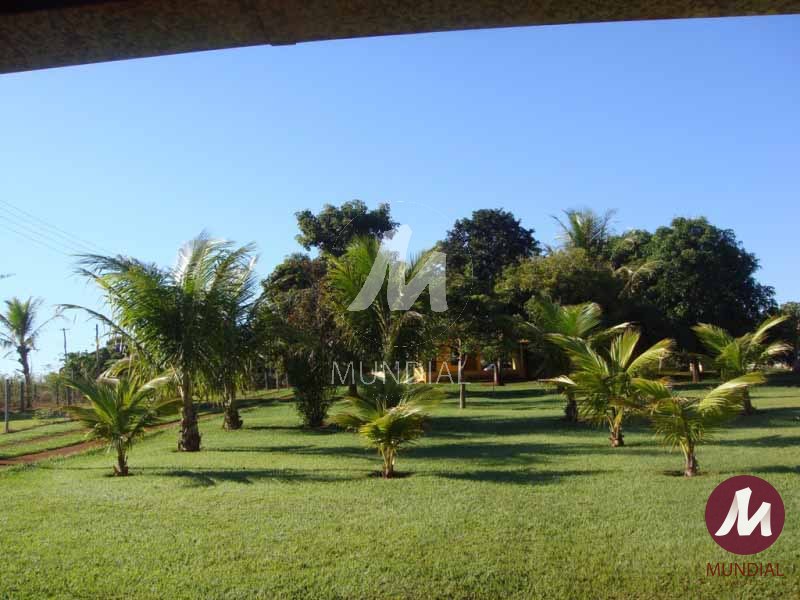 Lazer Unidade — foto 16