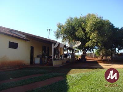 Quintal/corredores — foto 28