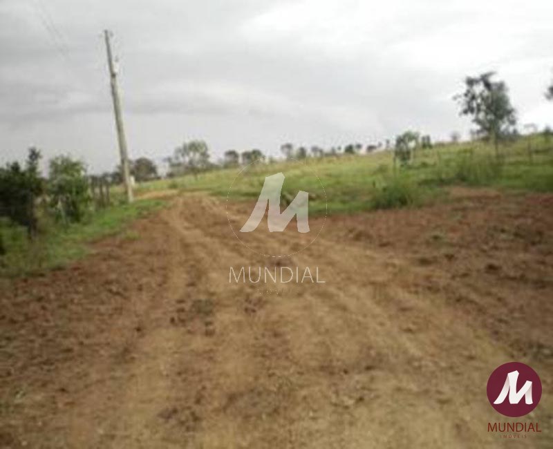 Outras — foto 7