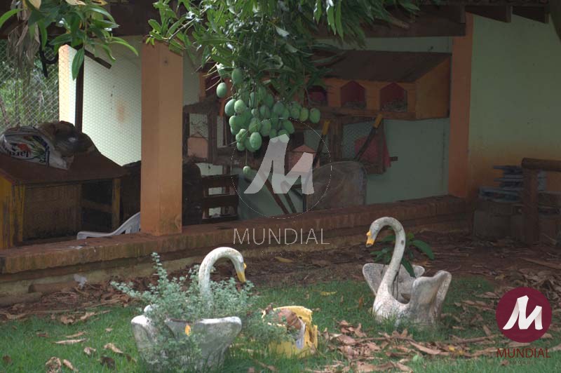 Lazer Unidade — foto 1