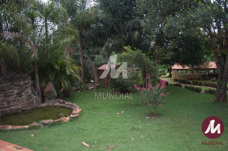 Lazer Unidade — foto 6