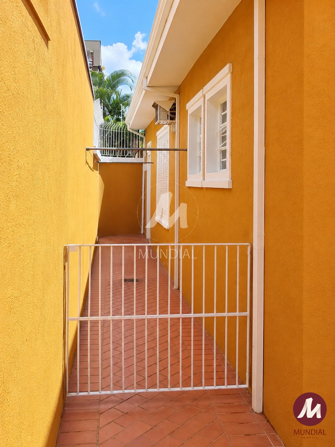 Quintal/corredores — foto 11
