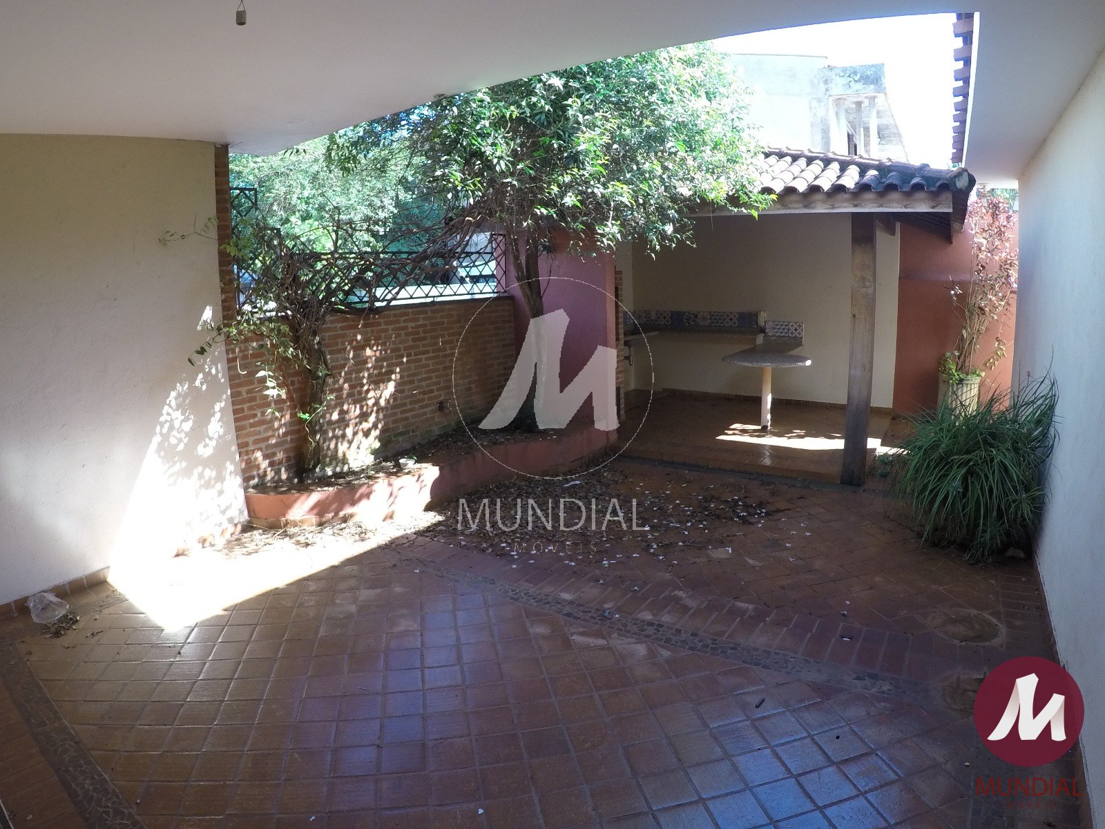 Quintal/corredores — foto 36