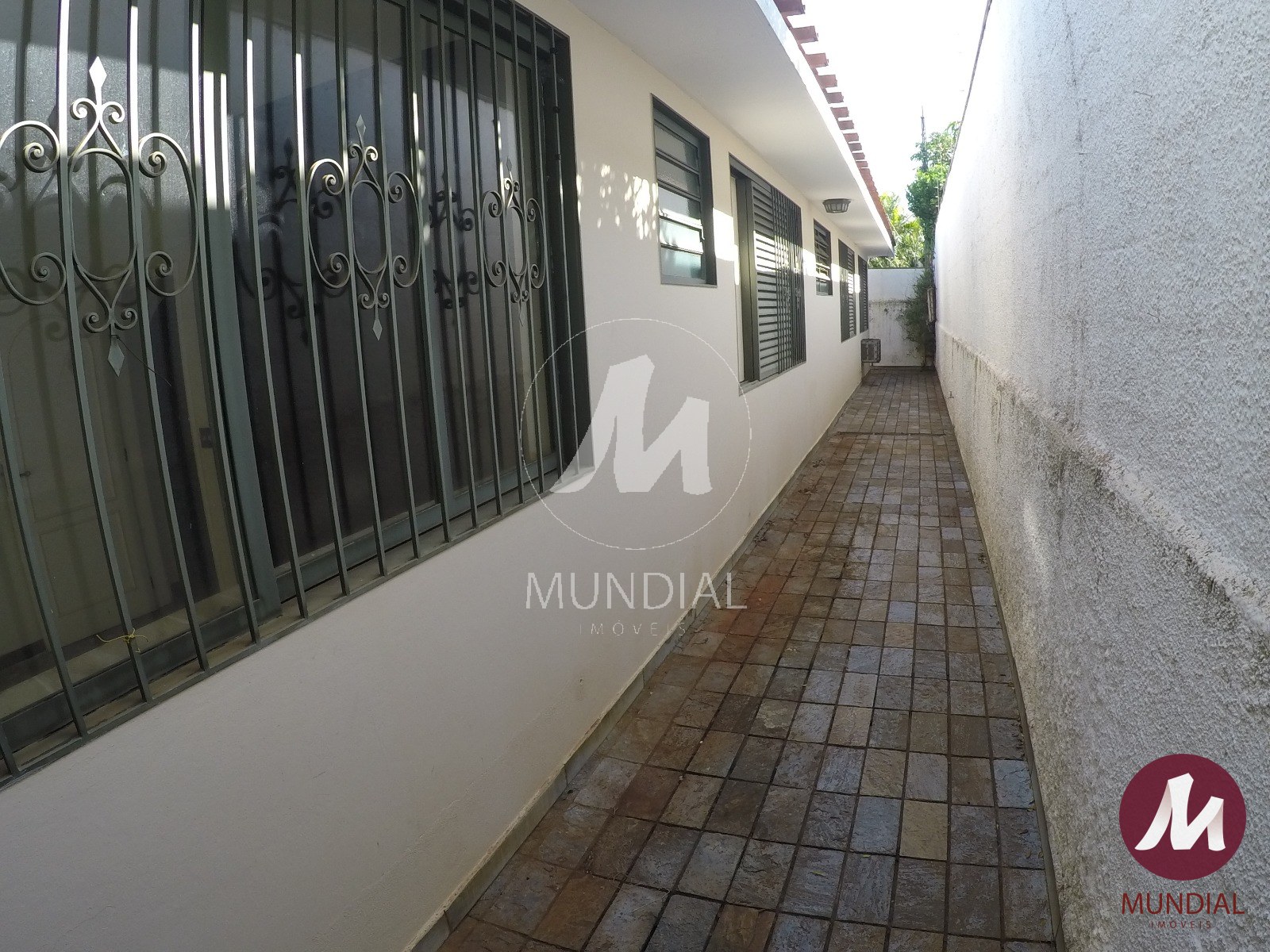 Quintal/corredores — foto 41