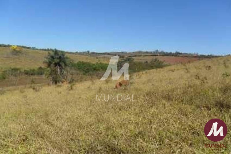 Quintal/corredores — foto 1