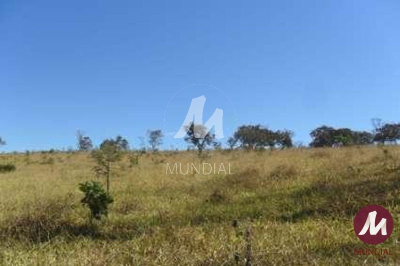 Quintal/corredores — foto 3