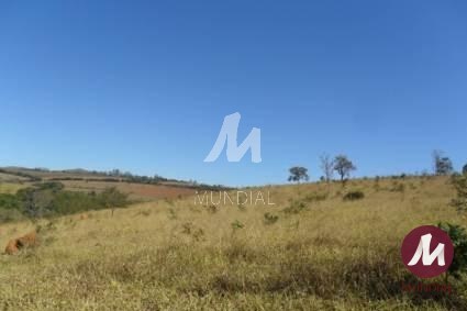 Quintal/corredores — foto 4