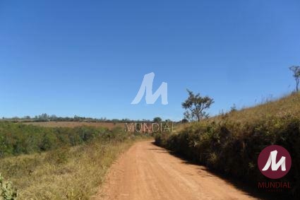 Quintal/corredores — foto 5