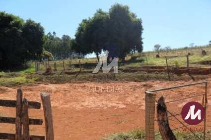 Quintal/corredores — foto 6