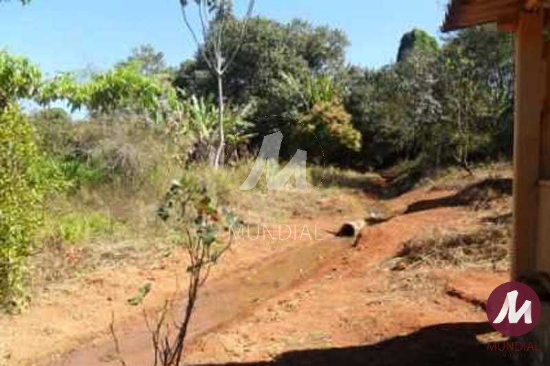 Quintal/corredores — foto 11